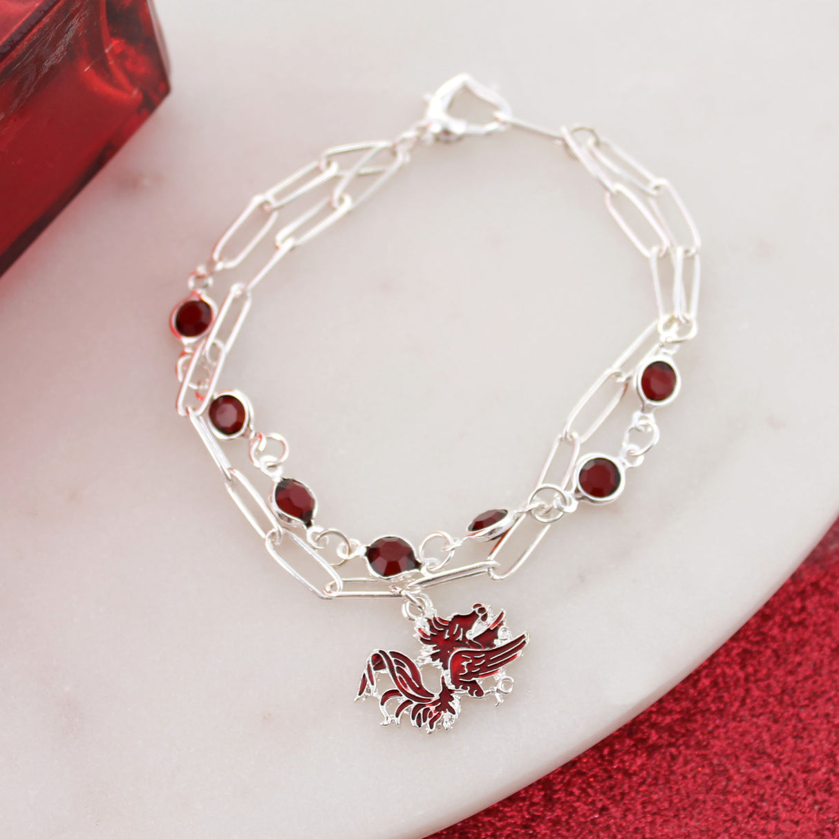 South Carolina Paperclip Chain Gift Set