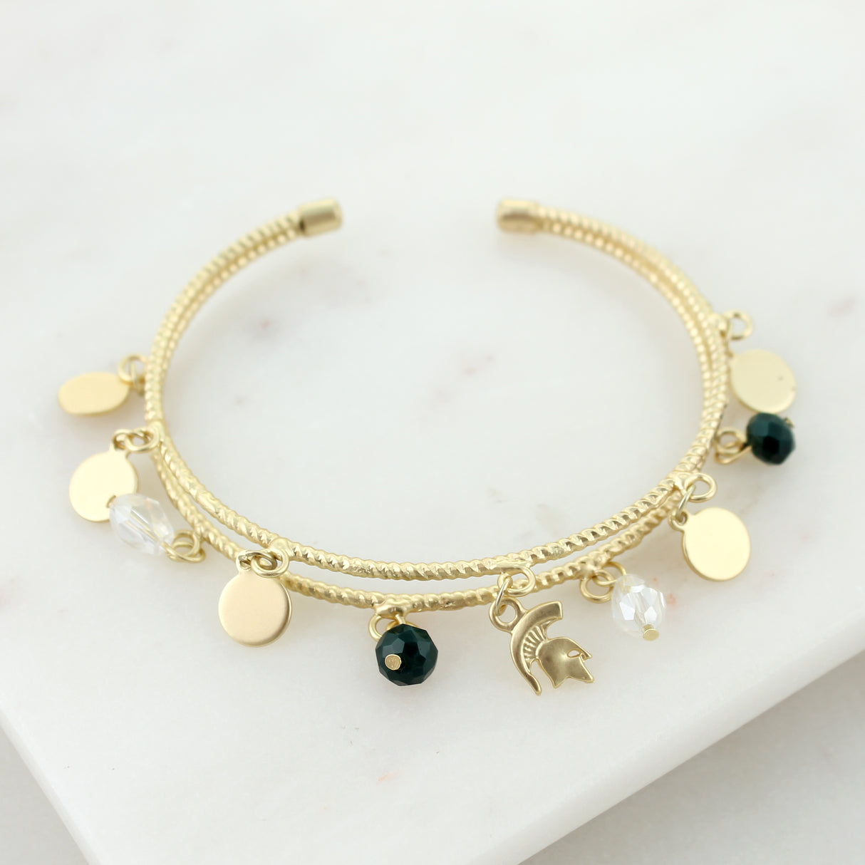 Michigan State Matte Gold Gift Set