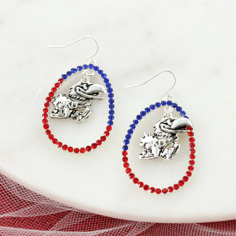 Kansas Crystal Loop Earrings